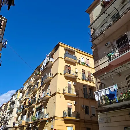 Don Carlo Center アパート ナポリ